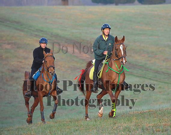 Foxcatcher(4-12-14)0159