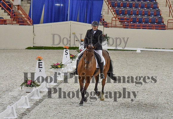 CWdressageI(8-20-16)0229