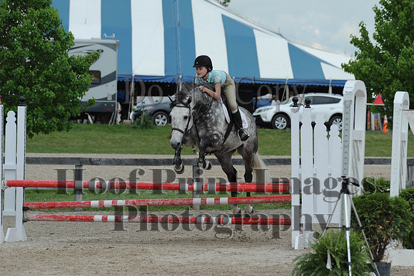 BRSa(5-17-14)0.8mJCl0081