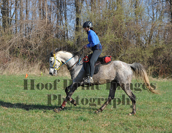 Foxcatcher(4-12-14)0556