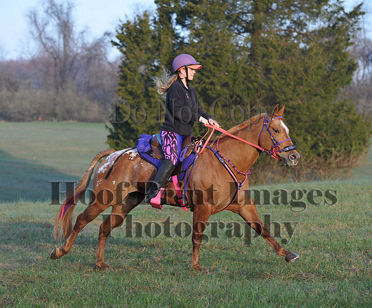 Foxcatcher(4-12-14)0326