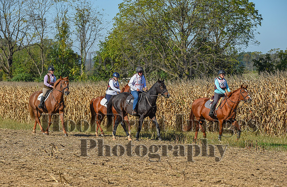 CheshirePonyClubPC(10-6-24)0076