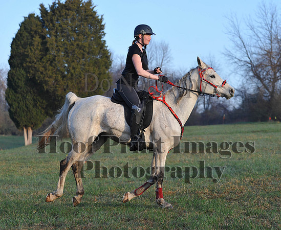 Foxcatcher(4-12-14)0347