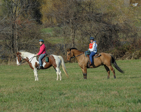 BHPC(11-15-15)0604
