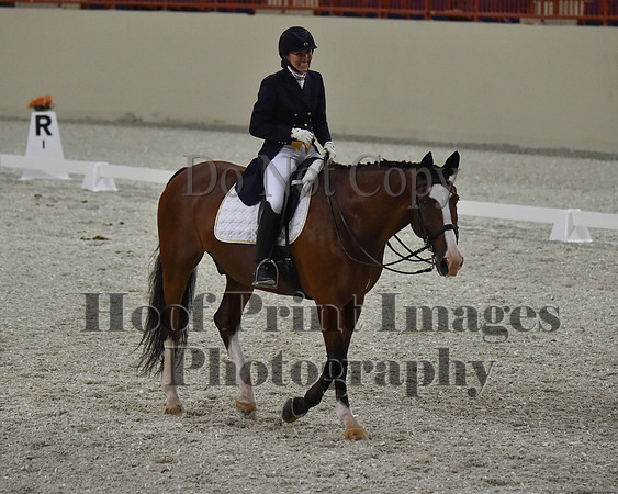 CWdressageII(8-21-16)1764