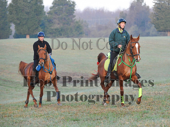 Foxcatcher(4-12-14)0162