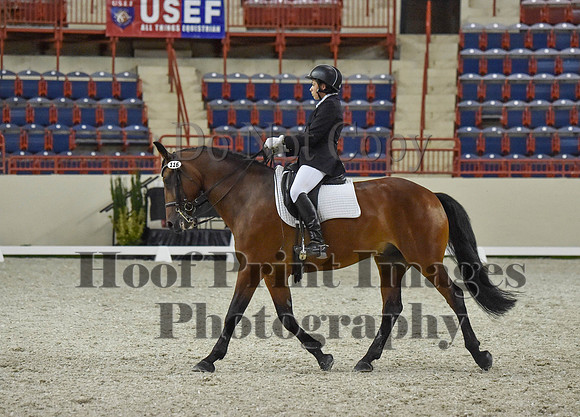 CWdressageI(8-20-16)1304