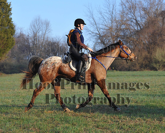 Foxcatcher(4-12-14)0440