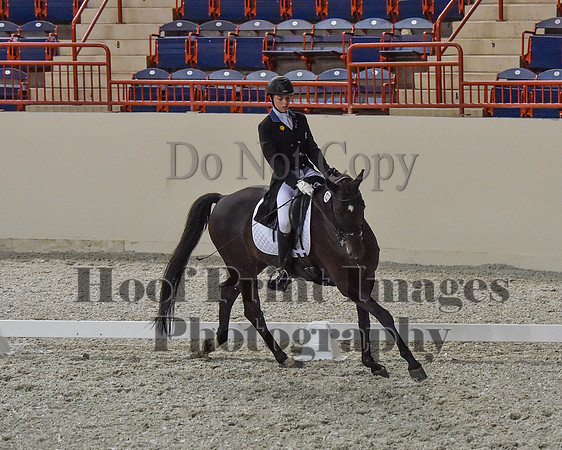 CWdressageII(8-21-16)0675