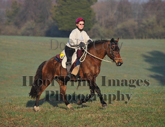 Foxcatcher(4-12-14)0500