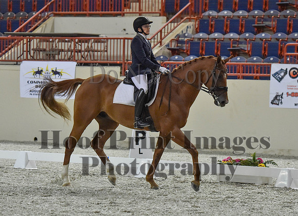 CWdressageI(8-20-16)1249