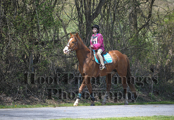 CheshirePC(4-16-16)0616