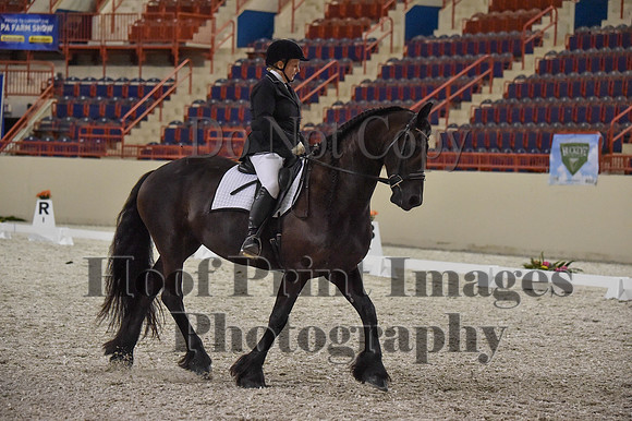 CWdressageI(8-20-16)1385