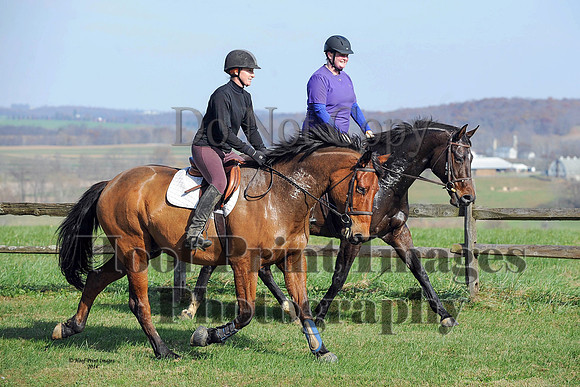 AndrewsBr(11-9-14)0126