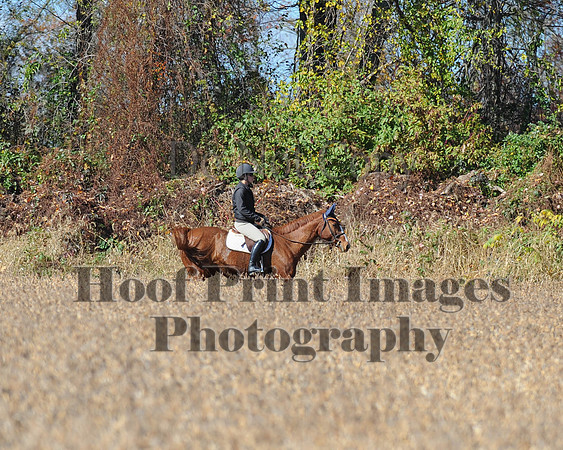 LCRDC(10-26-14)0346