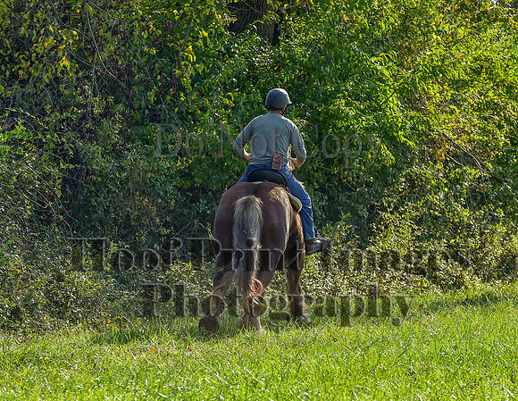 Born2Ride(10-13-24)0061