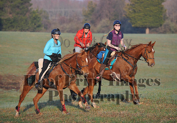 Foxcatcher(4-12-14)0409