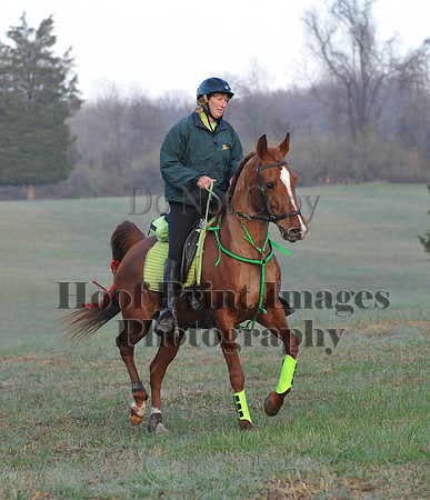 Foxcatcher(4-12-14)0164