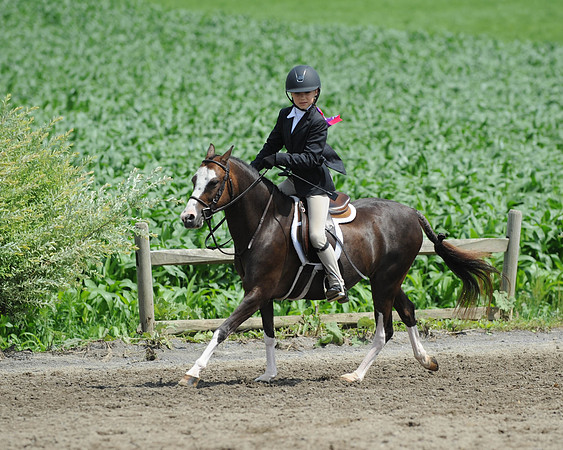 SC(6-28-14)SMPony0067