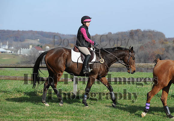 AndrewsBr(11-9-14)0430