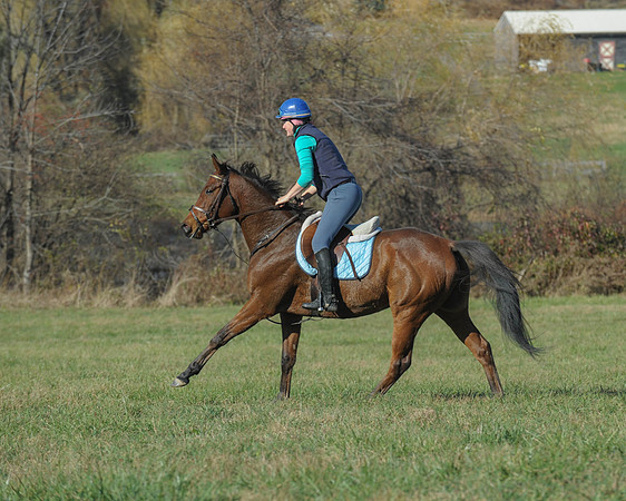 BHPC(11-15-15)0670