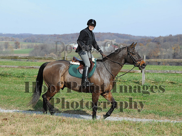 AndrewsBr(11-9-14)0398