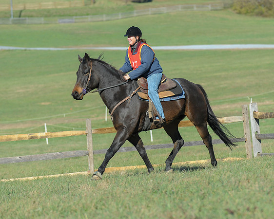 BHPC(11-15-15)0537