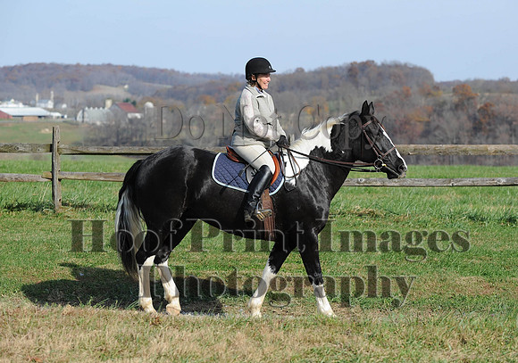 AndrewsBr(11-9-14)0337