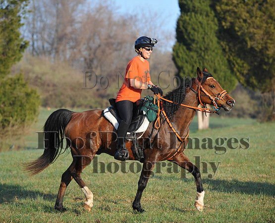 Foxcatcher(4-12-14)0537