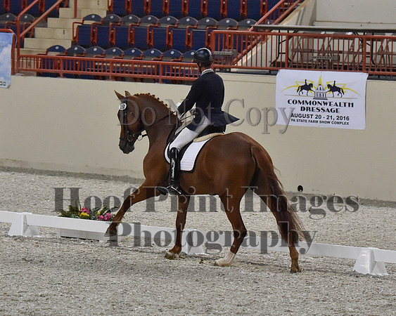 CWdressageII(8-21-16)1342