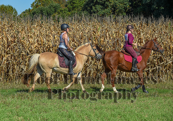 CheshirePonyClubPC(10-6-24)0212