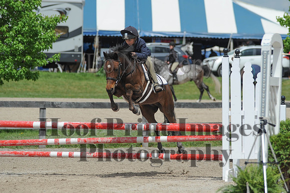 BRSa(5-17-14)0.8mJCl0062