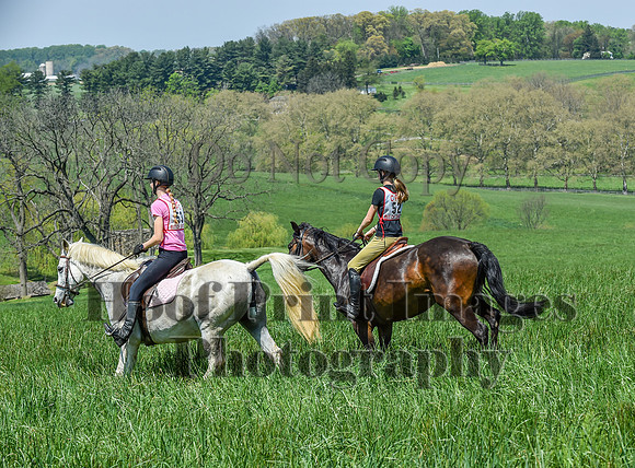 CheshireSpringPC1(4-28-24)0422