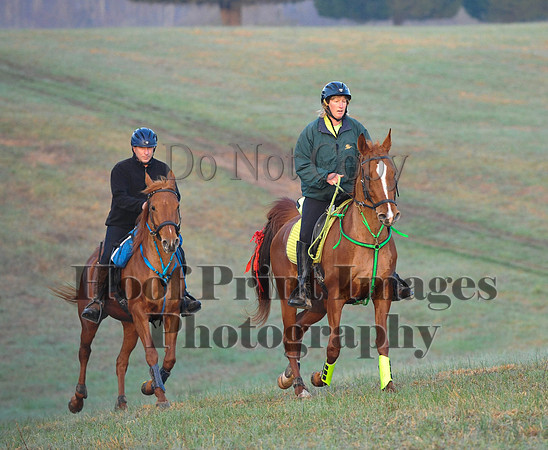 Foxcatcher(4-12-14)0158