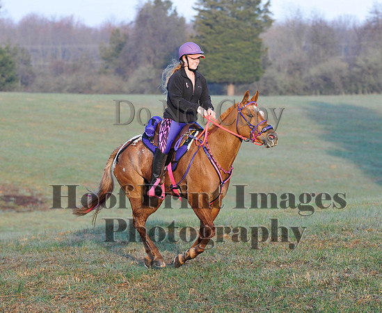 Foxcatcher(4-12-14)0323