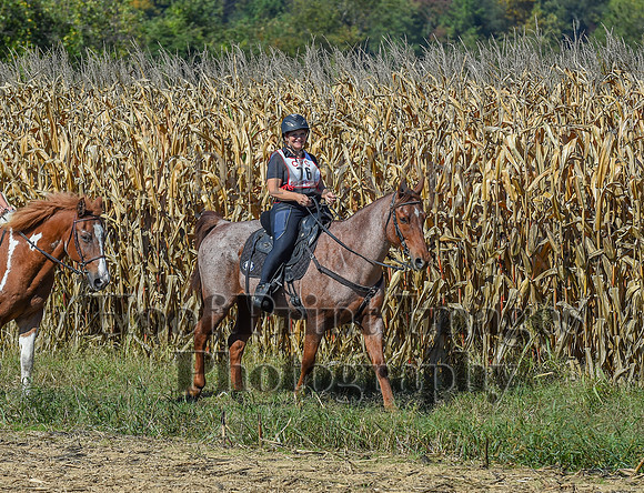 CheshirePonyClubPC(10-6-24)0247