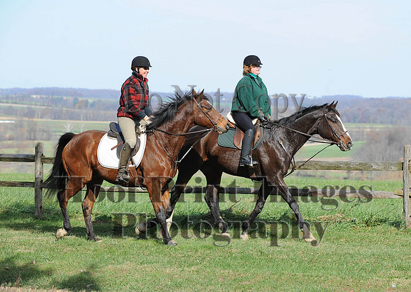 AndrewsBr(11-9-14)0452