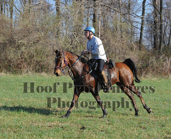 Foxcatcher(4-12-14)0548