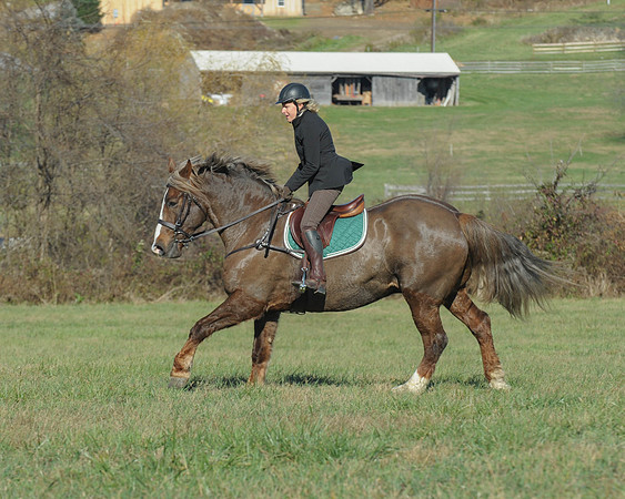 BHPC(11-15-15)0086