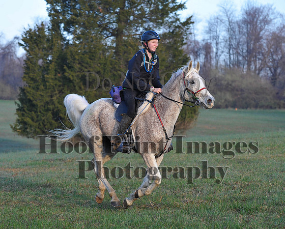 Foxcatcher(4-12-14)0375