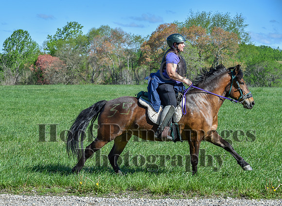 ChesapeakeSpring(4-27-25)0609