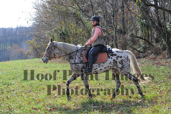 AndrewsBr(11-9-14)0549