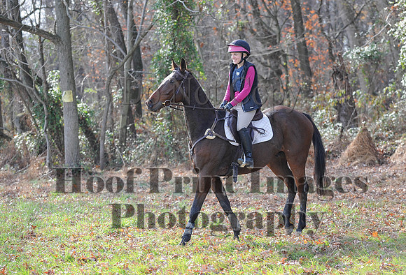 AndrewsBr(11-9-14)0598