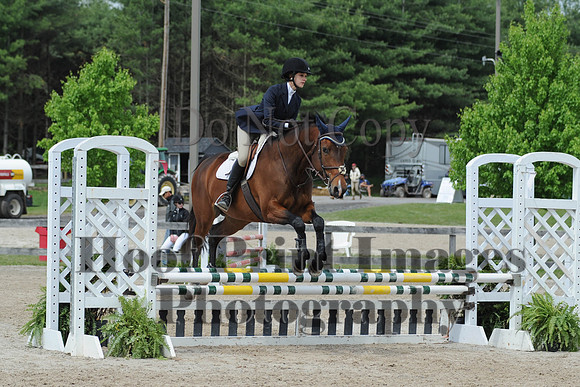 BRSa(5-17-14)0.8mJCl0058
