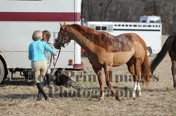 AndrewsBr(11-9-14)0682