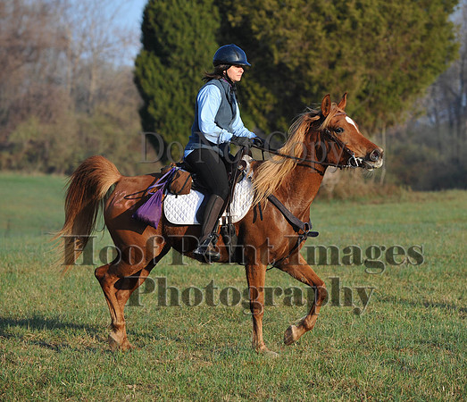 Foxcatcher(4-12-14)0541