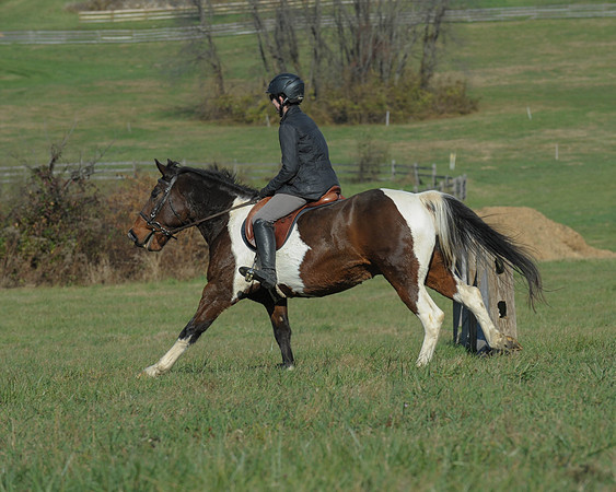BHPC(11-15-15)0113