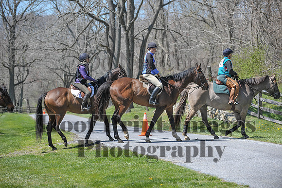 CheshirePC(4-16-16)0064