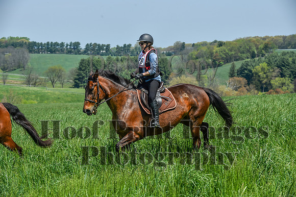 CheshireSpringPC1(4-28-24)0447