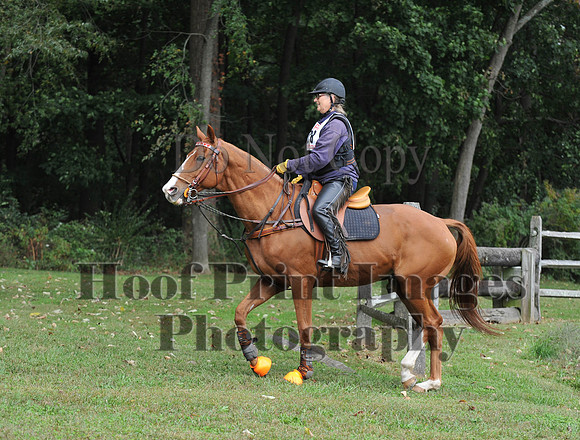 CheshirePC(10-16-16)0460
